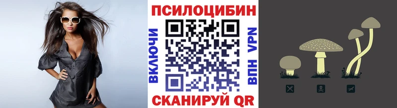 Псилоцибиновые грибы Psilocybine cubensis Купить Углич